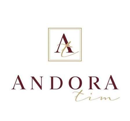 ANDORA TIM – Stručnost, iskustvo, poverenje