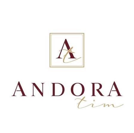 ANDORA TIM – Expertise, Experience, Trust
